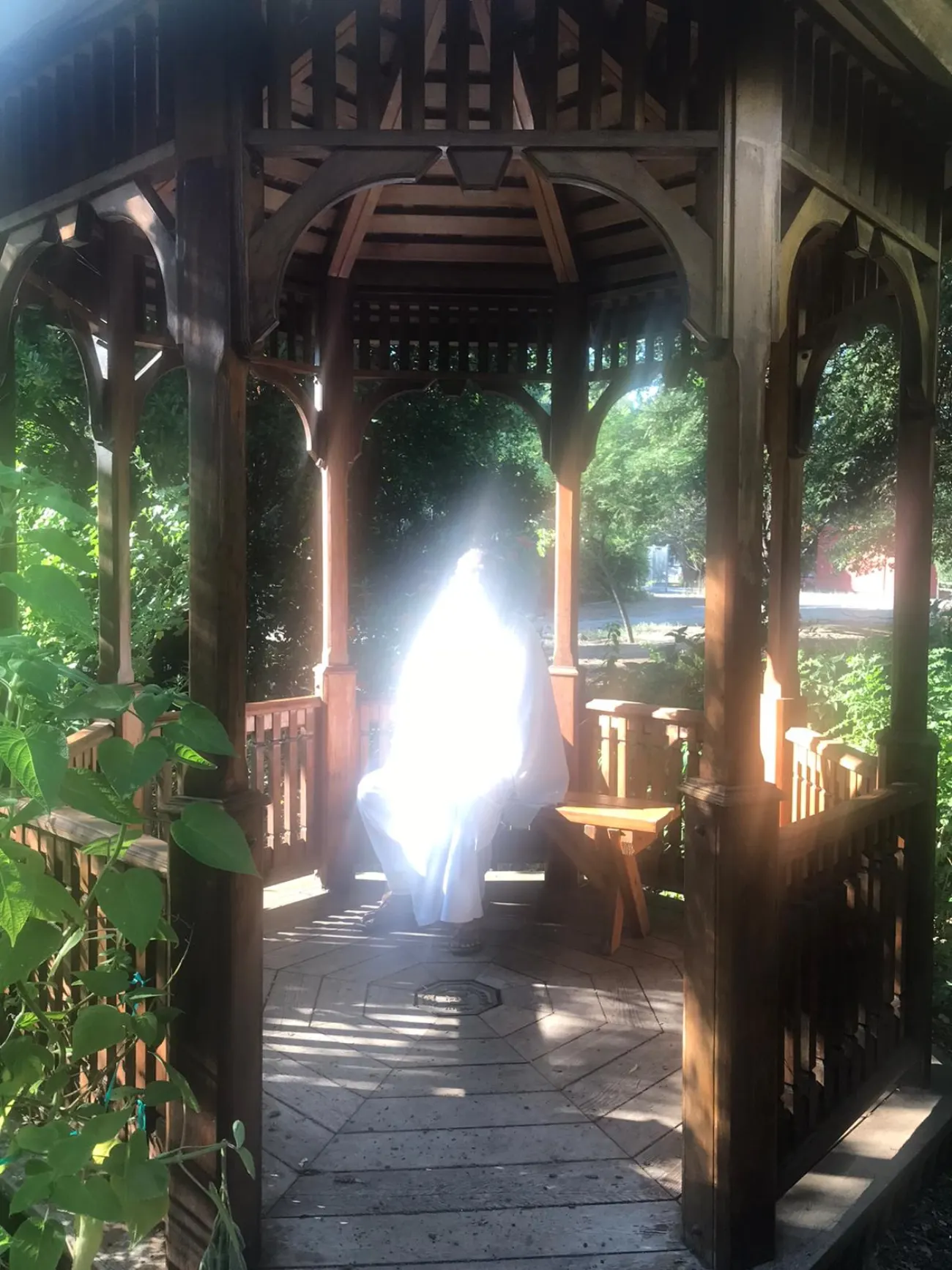 Swamiji's Aura